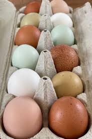 Eggs